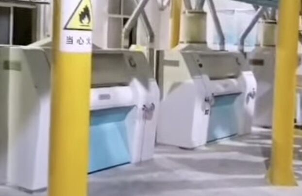 máquina de molino de harina de maíz