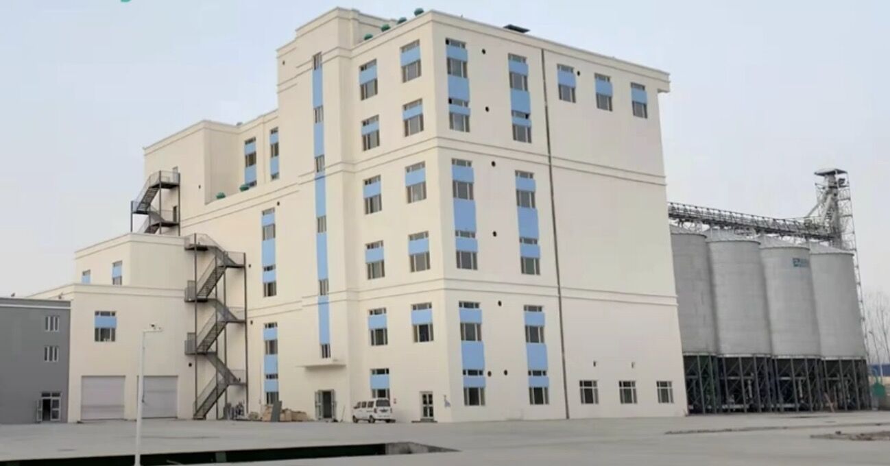 Линия по производству пшеничной муки 300 тонн в день