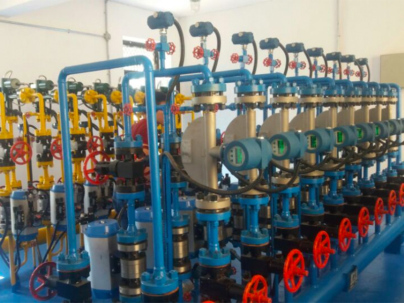 Coriolis mass flowmeter