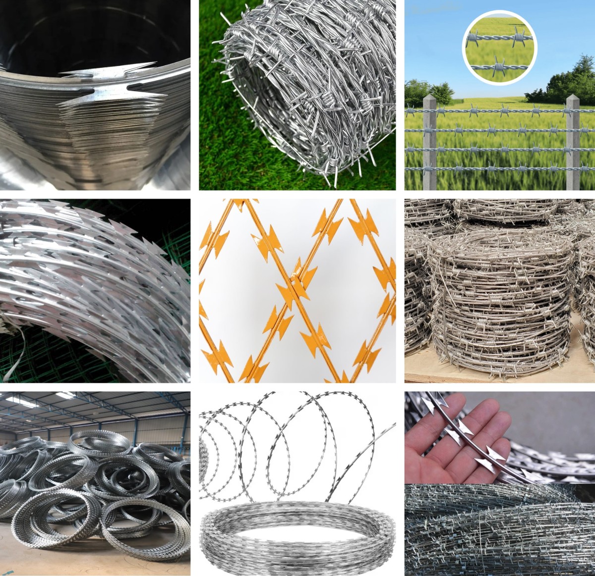 Barbed Wire