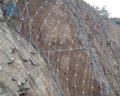 Steel Wire Mesh