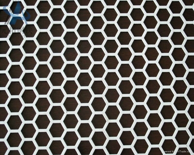 Hexagonal Hole Punching Mesh