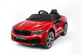 2118 BMW LICENSE CAR