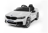 2118 BMW LICENSE CAR