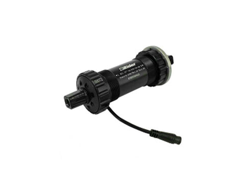 Torque sensor