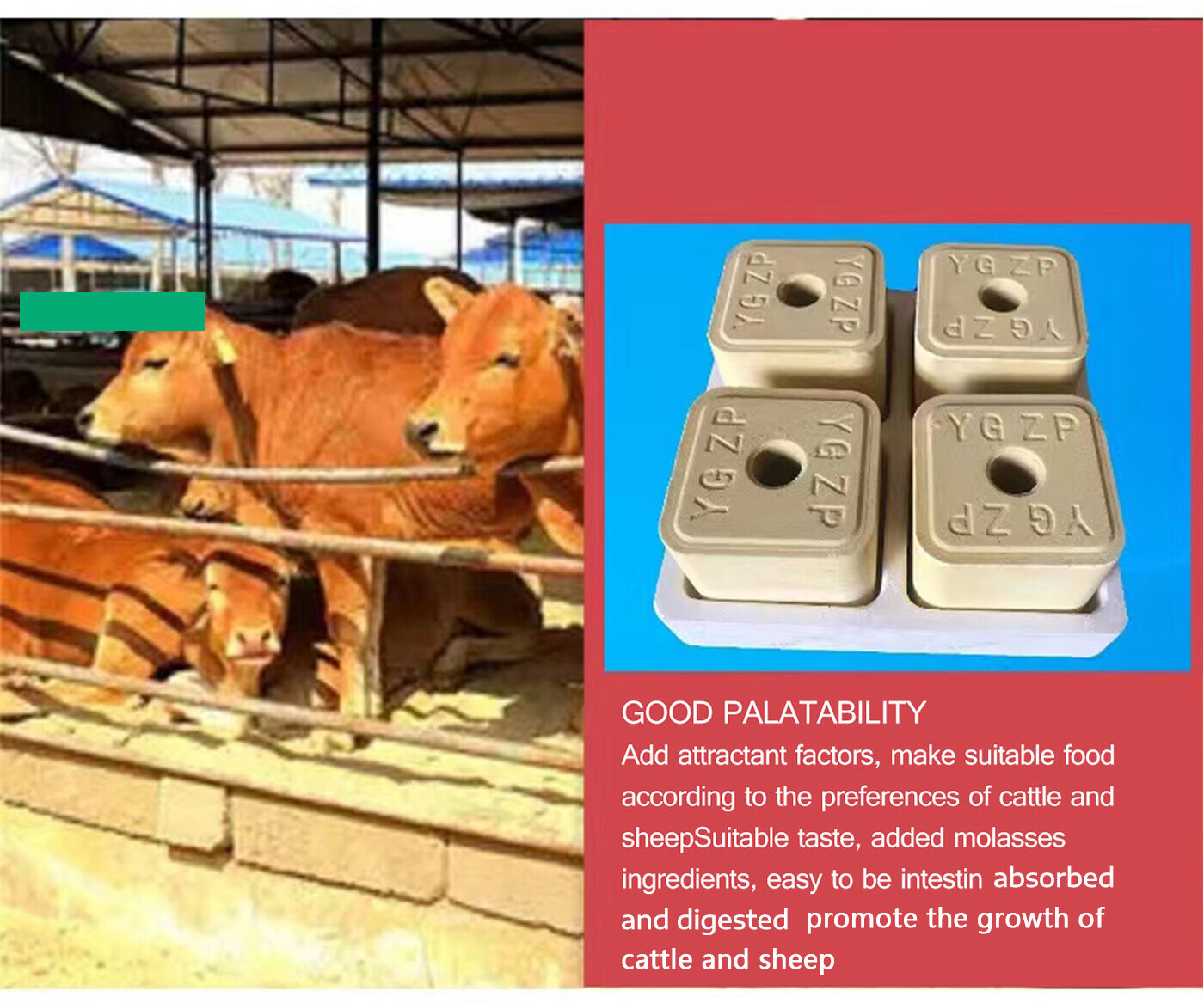 Licking Bricks for Ruminant