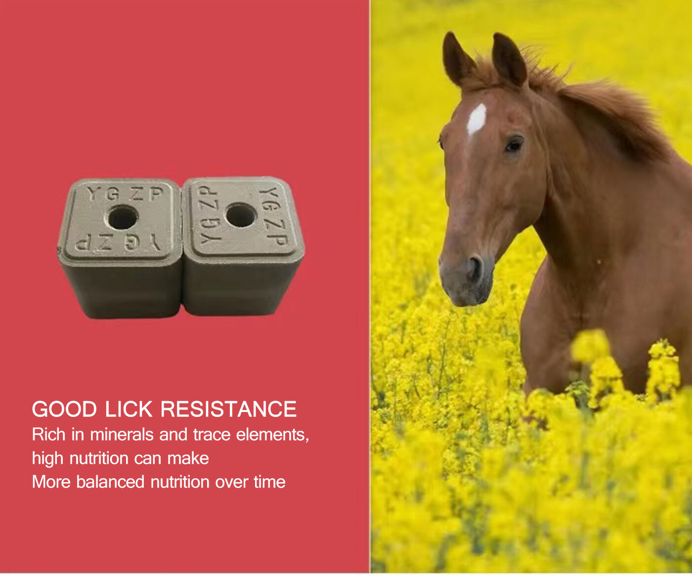 Licking Bricks for Ruminant