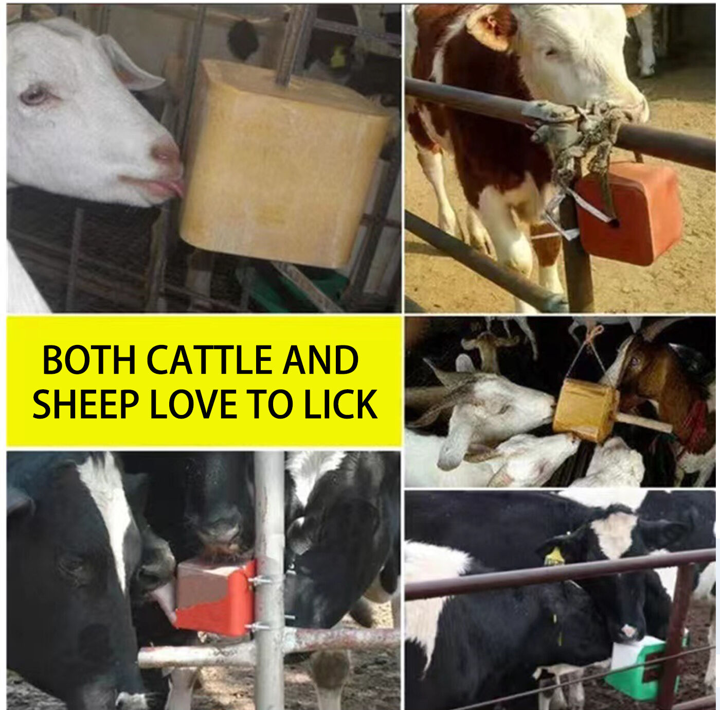 Licking Bricks for Ruminant