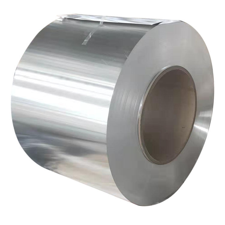 Hastelloy Coil