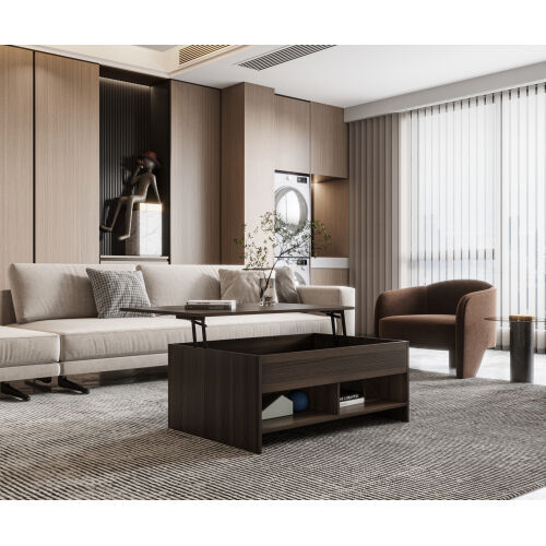 ¿El encanto único de la mesa de centro elevable?