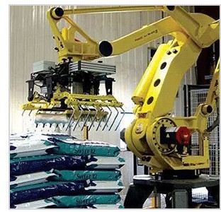 未标题-1_02.png Palletizing Robot