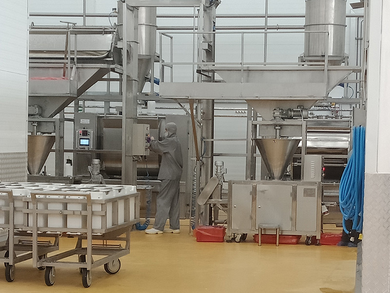 Russia Customer Case 1500KG/H Panko Breadcrumb Production Line