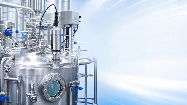 How to Choose an Oxygen Analyzer for Fermentation Process Stability