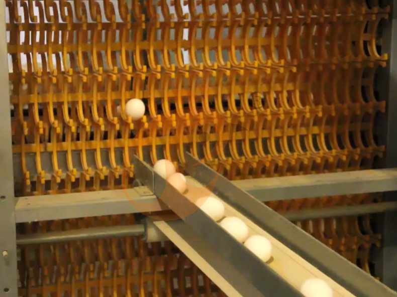 Sistema automático de jaulas en batería con estructura en A