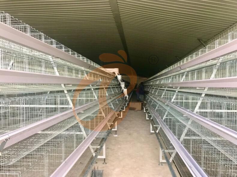 Sistema automático de jaulas en batería con estructura en A