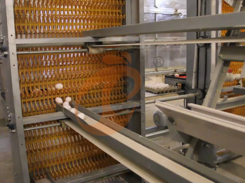 Sistema automático de jaulas en batería con estructura en A