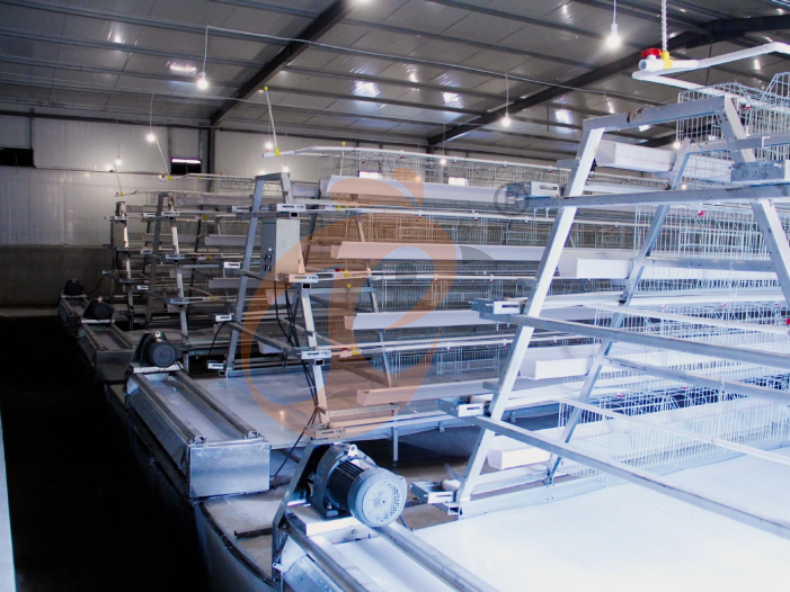 Sistema automático de jaulas en batería con estructura en A