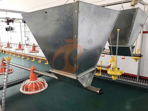 Feed System1 (6)