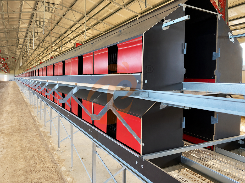 Floor Rearing Poultry System2 (5)