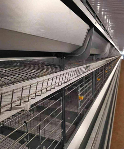 Best finished a turnkey project of 30,000 birds p Best finished a turnkey project of 30,000 birds p
