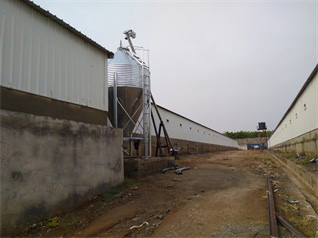 Luoto finished breeder chicken cage project in Wes Luoto finished breeder chicken cage project in Wes