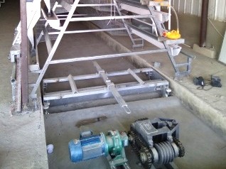 Luoto finished breeder chicken cage project in Wes Luoto finished breeder chicken cage project in Wes