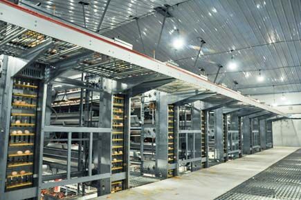 Luoto finished layer project of 30,000 square mete Luoto finished layer project of 30,000 square mete