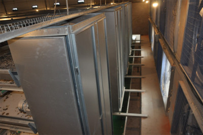 Luoto finished layer project of 34,000 birds with 