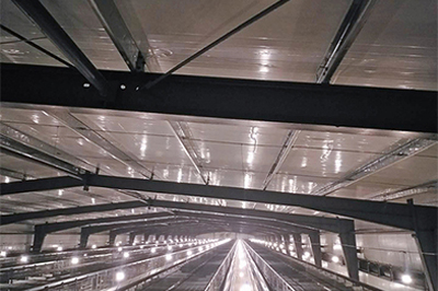 Best finished layer project of 34,000 birds with automatic layer chicken cage