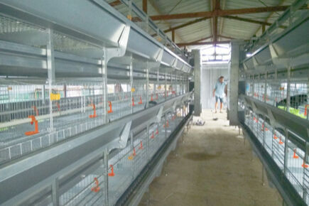 Luoto finished layer project with  50m by 14m by 4