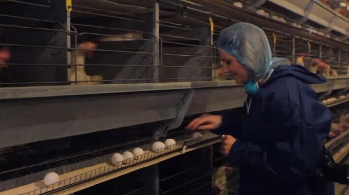 Poultry farming equipment market Poultry farming equipment market