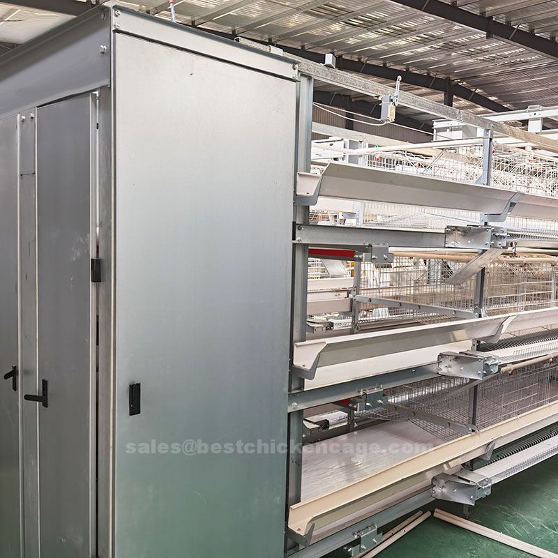 鸡笼或蛋鸡笼H (75).jpg What is layer battery cages is a purpose built enclosure designed to house laying hens in a controlled environment