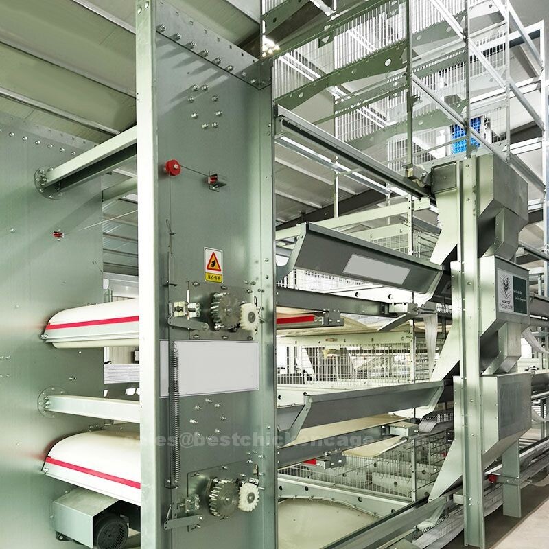 Why you need H-type cages are often used for laying hens, as they provide a comfortable and spacious Why you need H-type cages are often used for laying hens, as they provide a comfortable and spacious