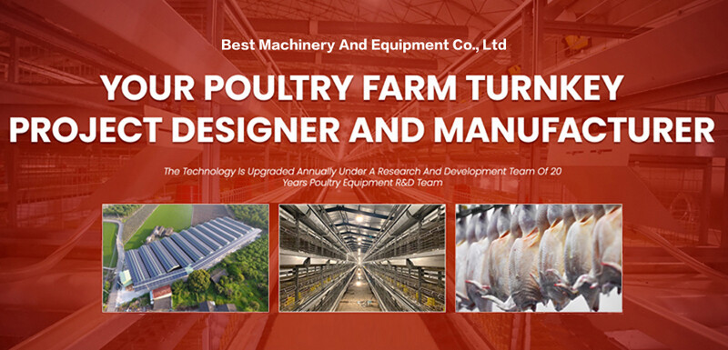 Locally made type of layer chicken cage high density of chickens in a small area cost-effective