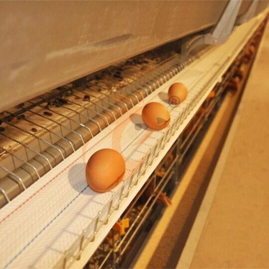Automatic H Type Layer Battery Cage System
