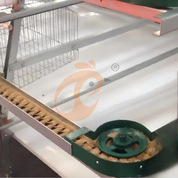 layer battery cage system (24) Automatic A Type Layer Battery Cage System