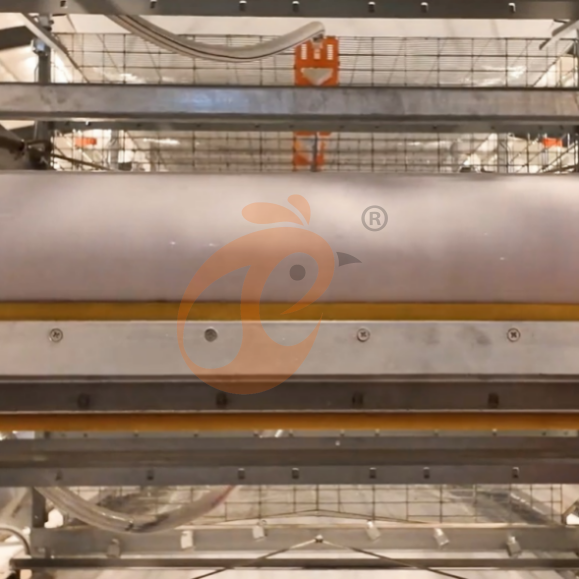 broiler battery cage system
