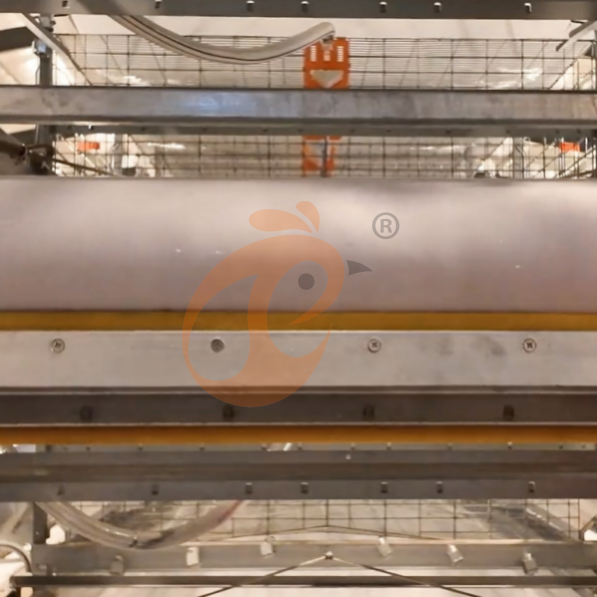 brooder battery cage system (6) Semi Automatic H Frame Brooder Battery Cage System