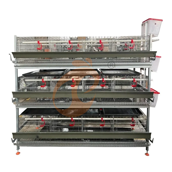 Battery cage system for brooder (2) Battery cage system for brooder (2)