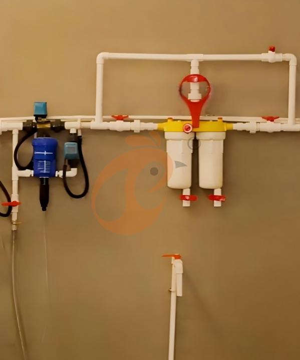 Automatic Broiler Chain Type Harvest, Automatic H Frame Broiler Battery Cage System