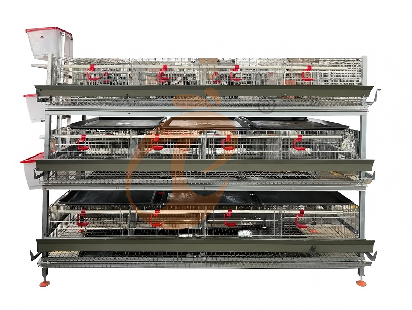 battery cage system for broiler (1) battery cage system for broiler (1)