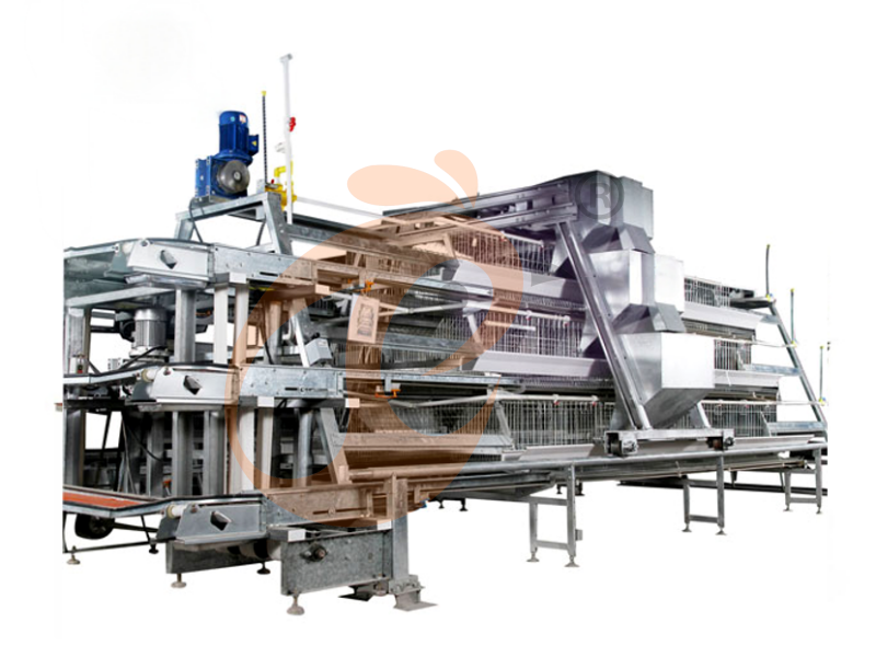 battery cage for layer (8)