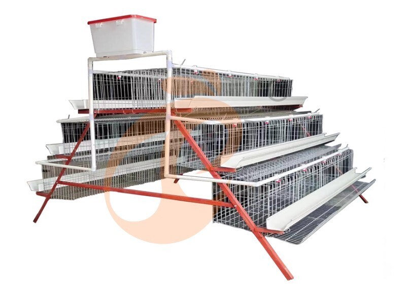 battery cage for layer (10) Battery Cages And Poultry Farm Equipment Needed For A Modern Intelligent Poultry Farm - VANKE (China–Nigeria Branch) Since 2011