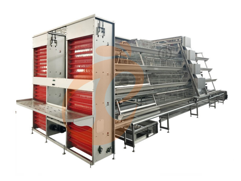 Battery Cage For Layer: Maximize Your Egg Production To 95% With Advanced Systems - Vanke (China–Nigeria Branch)