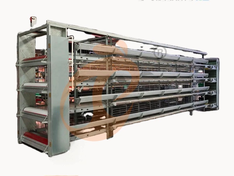 Modern Battery Cage System For Layer Systems: 3 Popular Type In The Market - Vanke (China–Nigeria Branch)