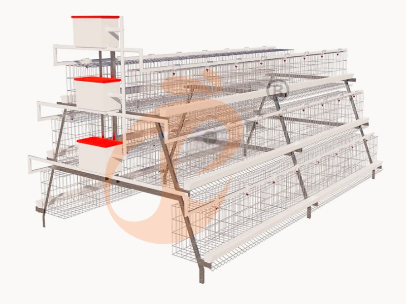 Automatic Battery Cage For Layers: Lifespan From 10 Years To 30+ Years - Vanke (China–Nigeria Branch)