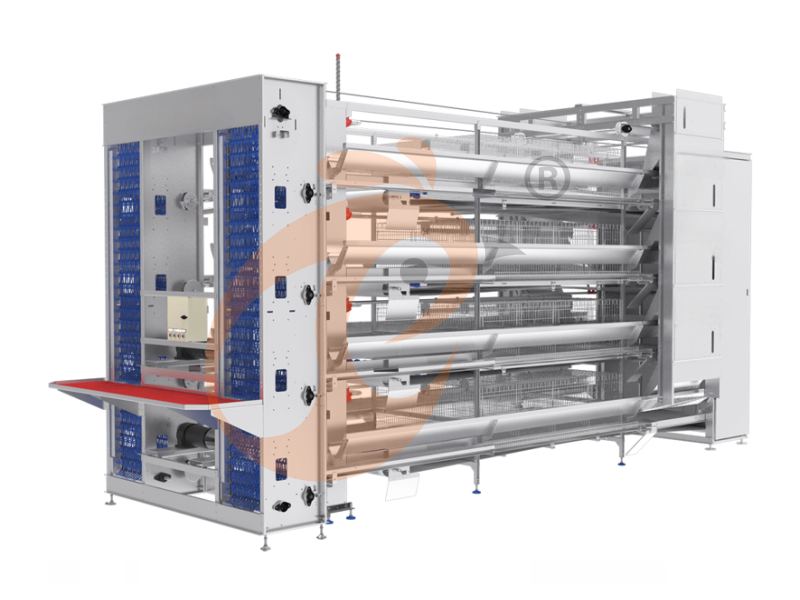 battery cage for layer (17)