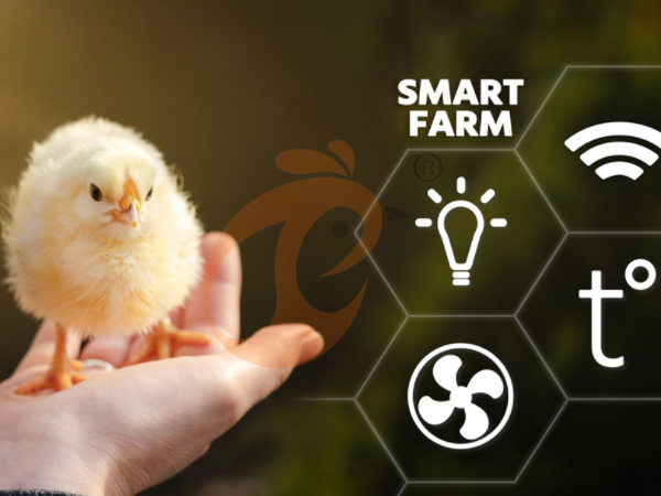 IoT Smart Poultry Farming System