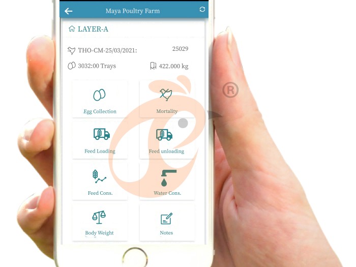 IOT poultry farm 5  (1)