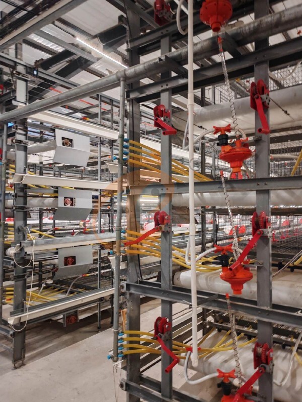 broiler battery cage (1) Manual Broiler Harvest Automatic H Frame Broiler Battery Cage System